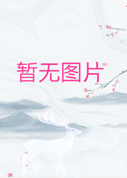 아빈/솔체